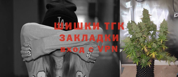 спиды Новозыбков