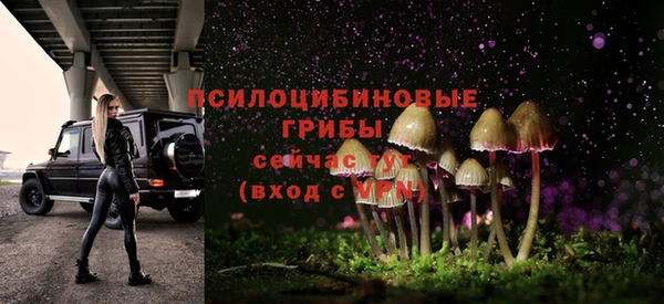 спиды Новозыбков