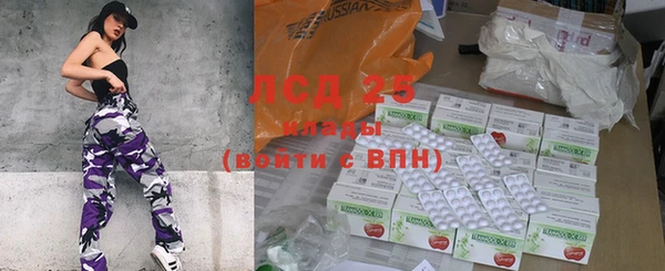 спиды Новозыбков