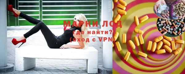 спиды Новозыбков