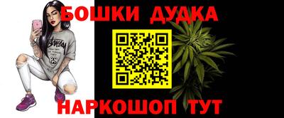сатива Дубна