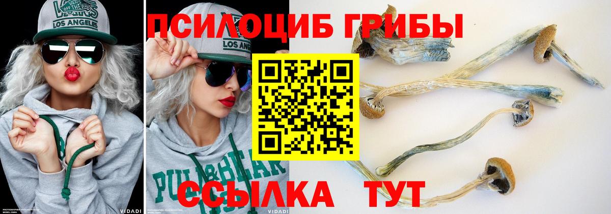 Галлюциногенные грибы MAGIC MUSHROOMS Лянтор