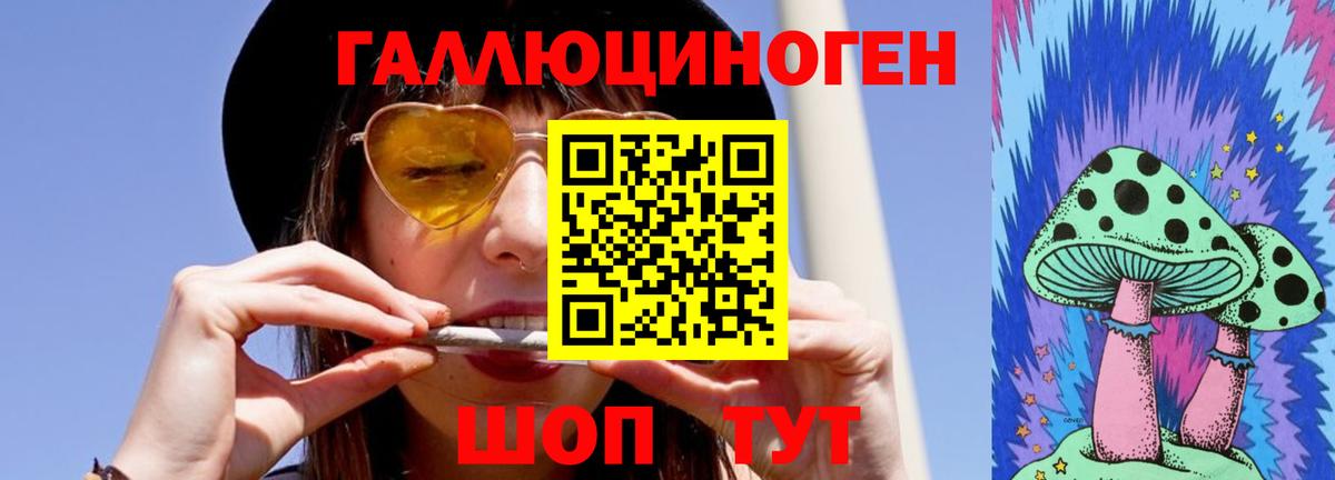 Лянтор  Псилоцибиновые грибы Psilocybine cubensis  Вход с VPN 